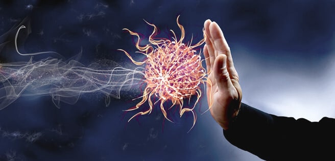 Die Immunabwehr – Komplexes System im menschlichen Körper